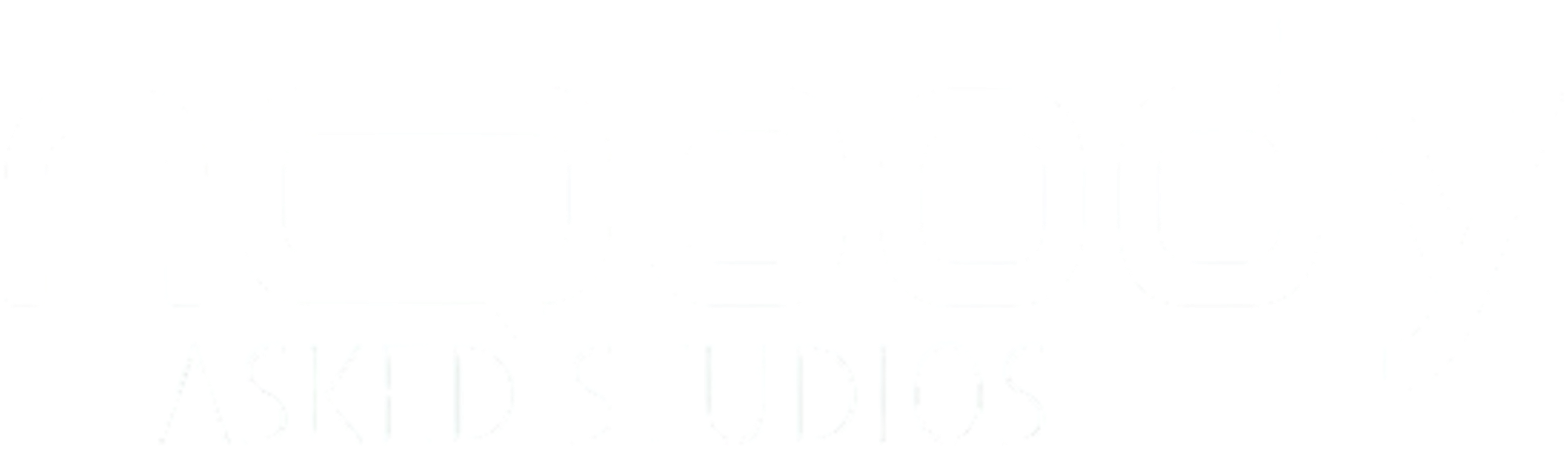 Nobody Asked Studios